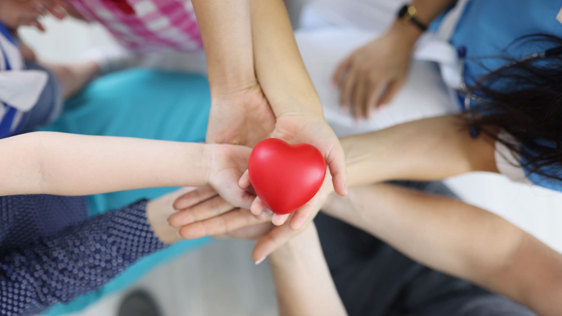 Egg Donors in Spain-All You Need to Know: Availability, Legal Aspects, and Qualification Explained