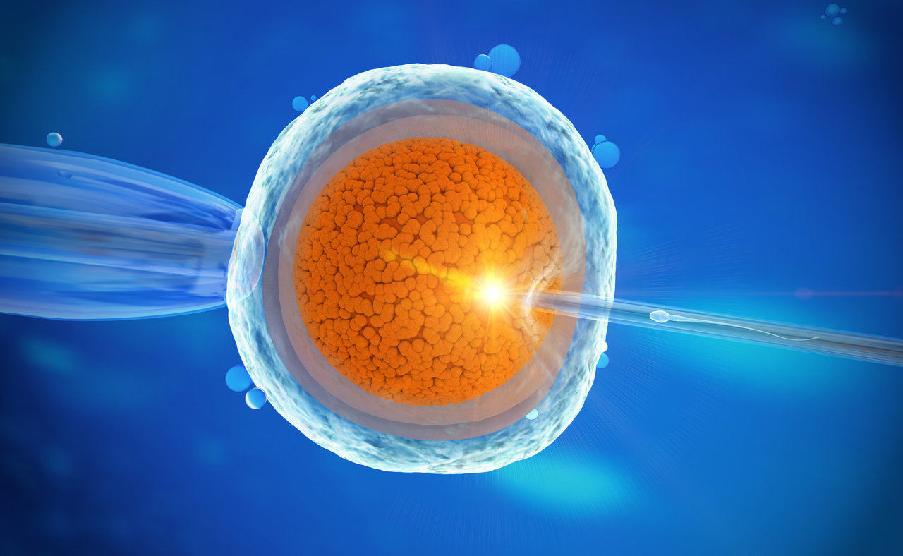 Cytoplasmic Transfer on Own Eggs at Fertimed