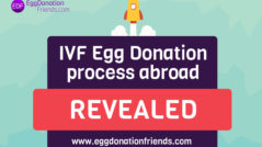 how long does the egg donation process take