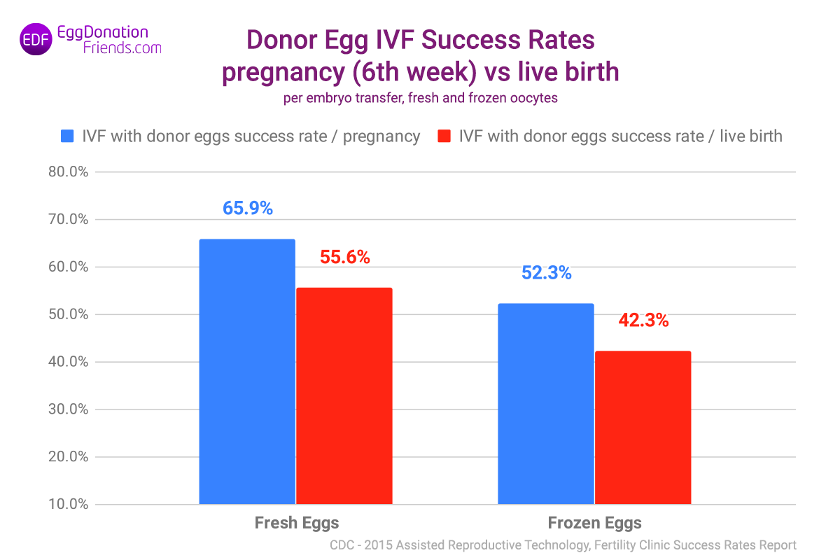 donor egg ivf