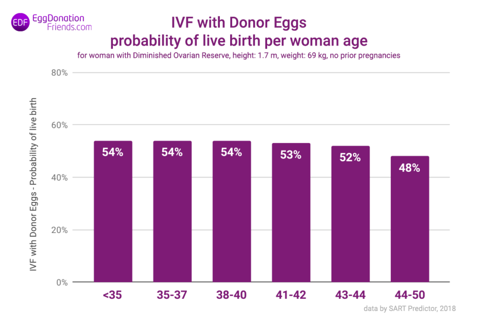 IVF Success Rates: The Truth Clinics Don’t Tell You