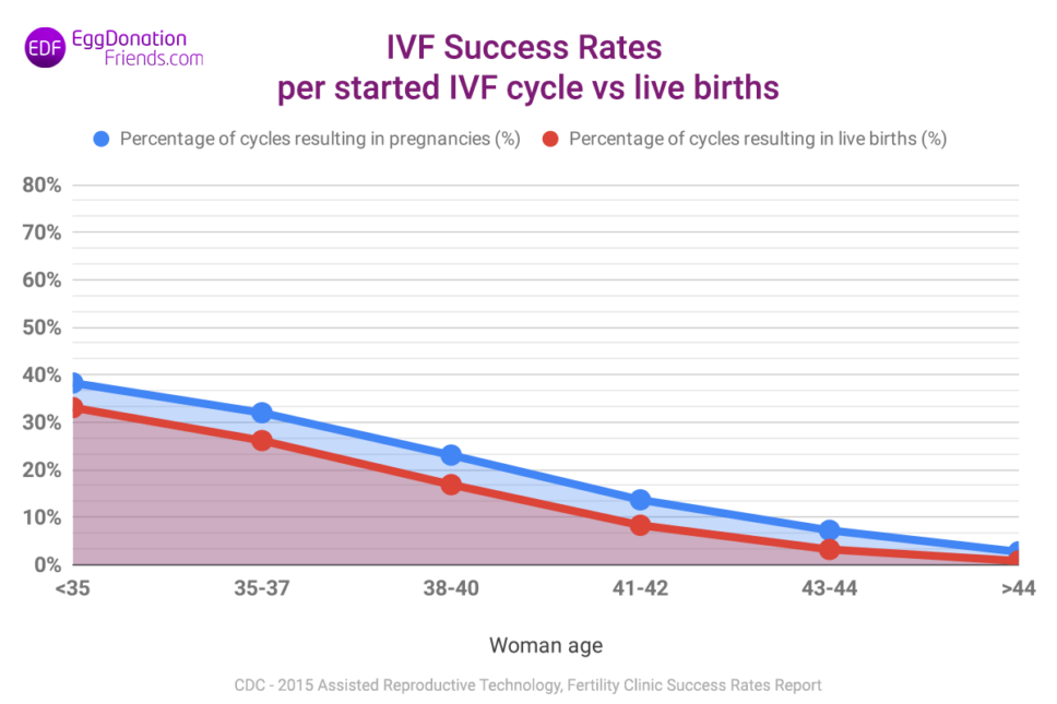 Ivf Success Rates Figures And Myths Revealed 