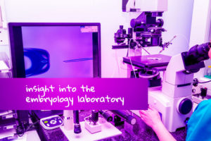 Embryo Development - Insight Into The IVF Lab