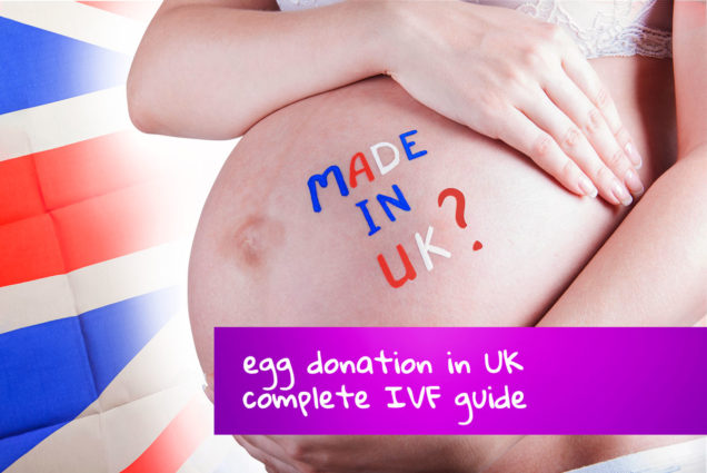 egg-donation-price-costs-timelines-and-availability-2023-guide